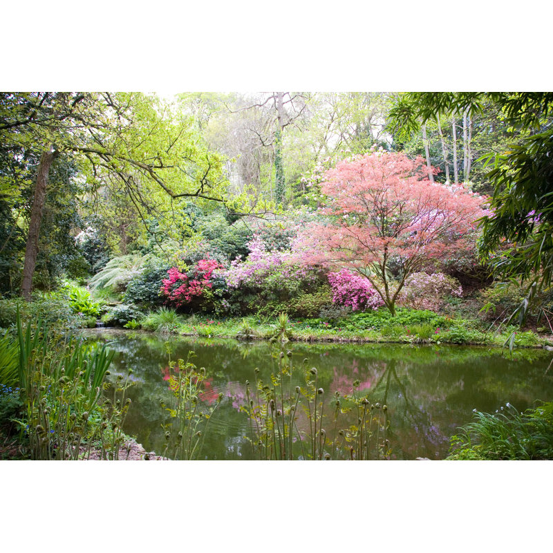 Blooming Trees in Nature par Tilo - Photographie sur toile tendue, L 30 po x H 20 po