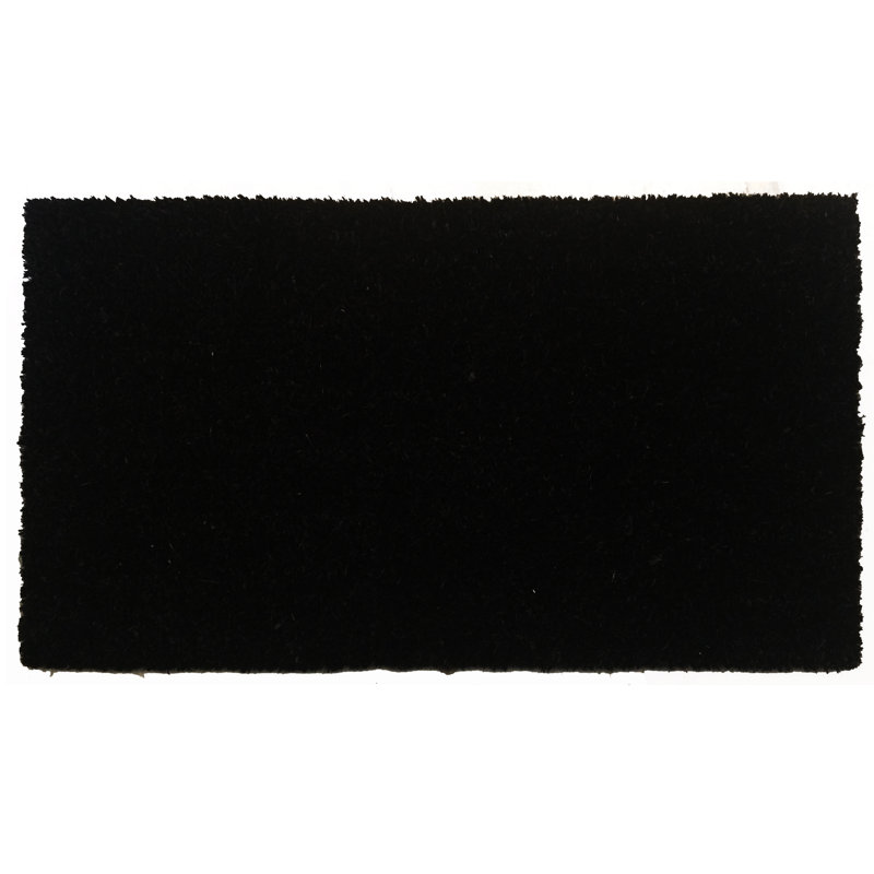 Tapis d'entrée antidérapant Charnece Beauty 36 po x 24 po