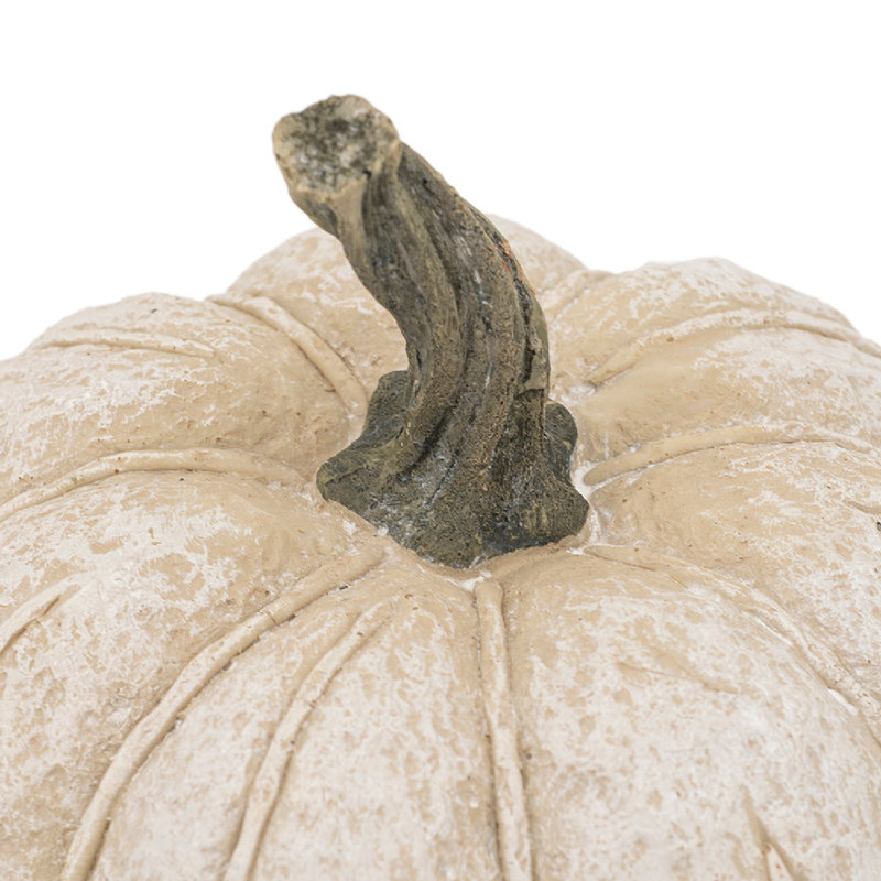 Citrouille Javona, Blanc