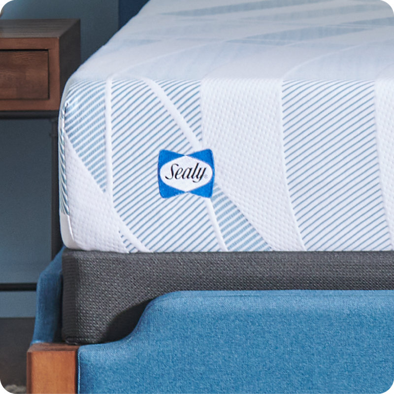 Sealy Dreamlife 10” Medium Foam Mattress-in-a-Box, Full
