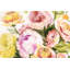 Loose Arrangement IV by Victoria Borges - Painting Print-2084724533-2043778468