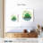 Ashelle Froggy Frog-109395511