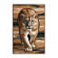  Tapis lavable en forme de lion de Californie-1203354417