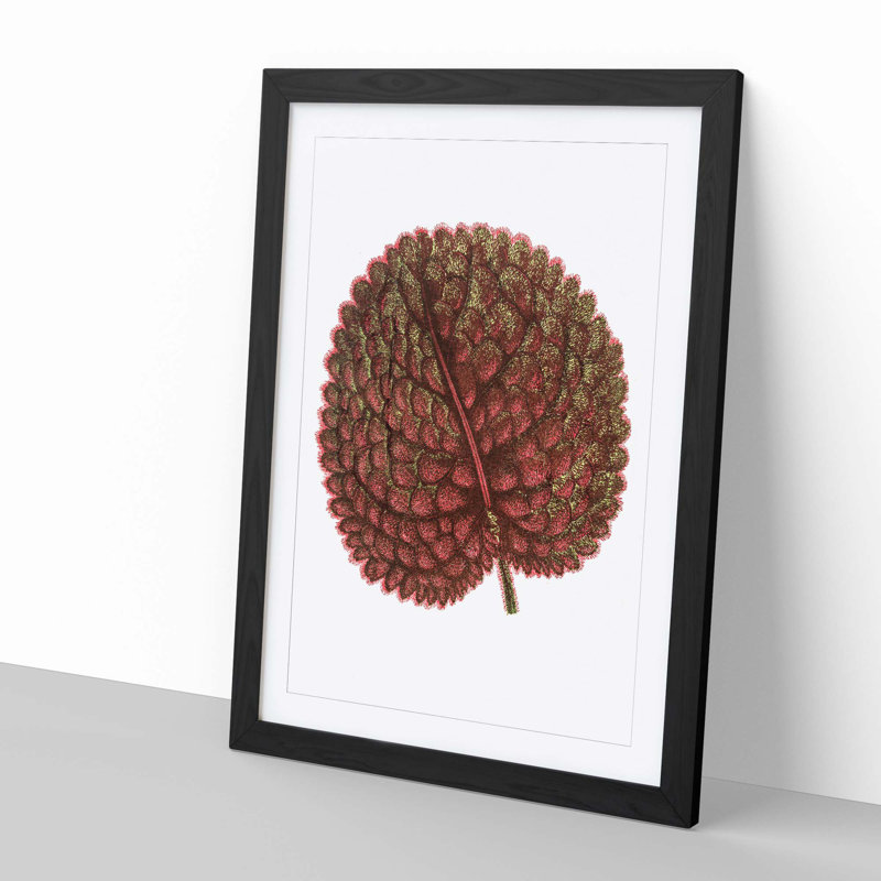 Plant Leaf by Benjamin Fawcett - Framed Print, 50cm H x 35cm W x 2cm D, Black