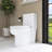 12 Inch One Piece 1.28 GPF Single Flush Elongated Toilet In White Seat Included