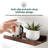 Solid Wood Floating Wall Shelf-490206116