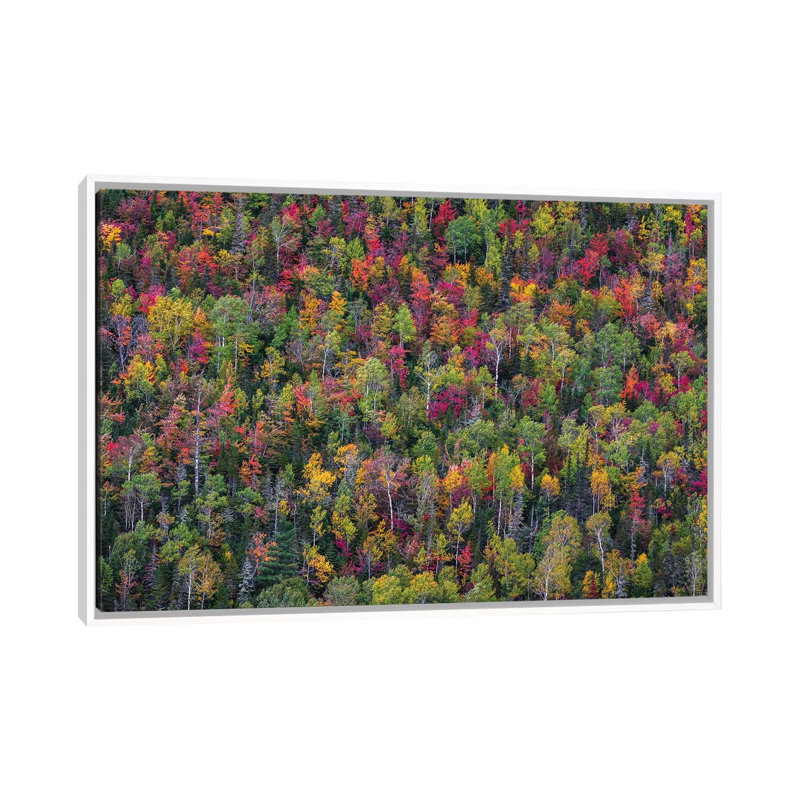 Colour Palette by Miroslaw - Floater Frame Print on Canvas