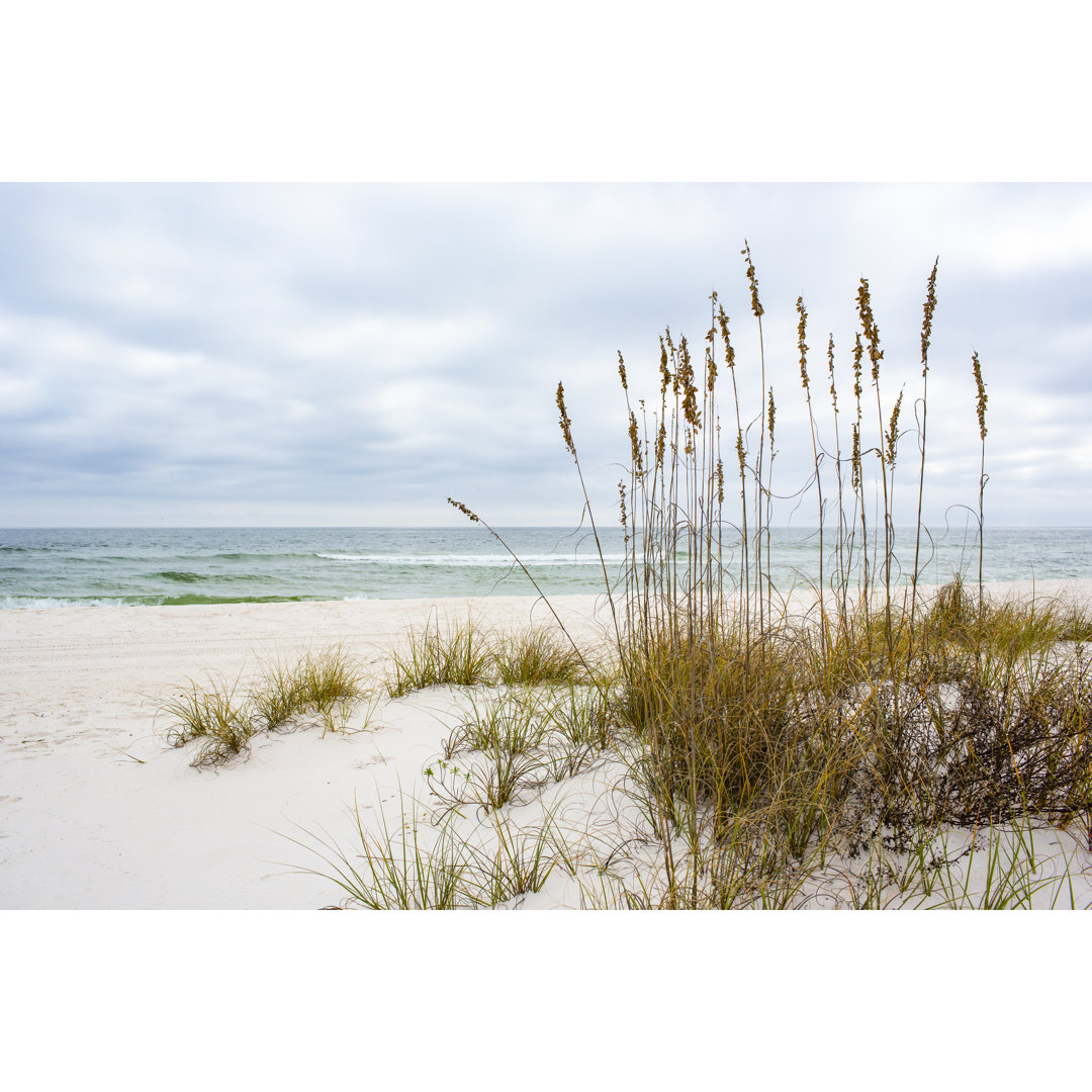 Gulf Islands National Seashore von Shunyu Fan - Druck ohne Rahmen auf Leinwand