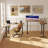 Mickail Adjustable Height L-Shaped Steel and Stainless Steel Standing Desk-826420477