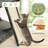 Sechovicz 67'' H Cat Tree-809250861
