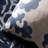 Floral Outdoor Throw Pillow-21726035-21726034