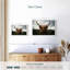 Vache Highland Open Field-1095245118-1095245116