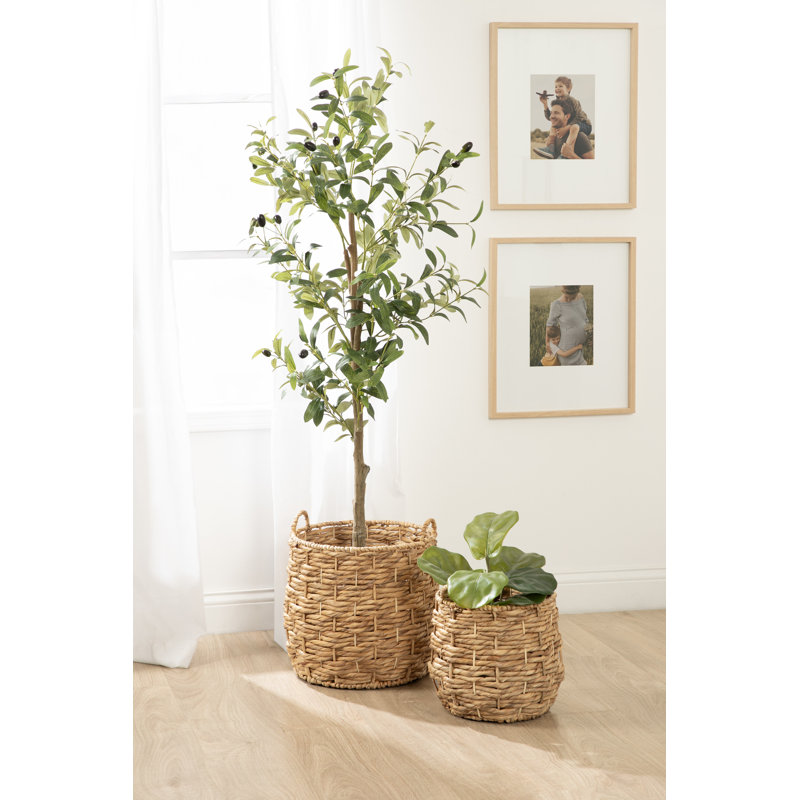 Ensemble de deux paniers de rangement tissés, Brun