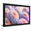 Plantes et fleurs de chrysanthèmes pastel aux pétales doux-1295235411-1295235410-1295235415