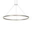 Double Corona 2-Light 3000K Dimmable Integrated LED Chandelier-28665358-122950196