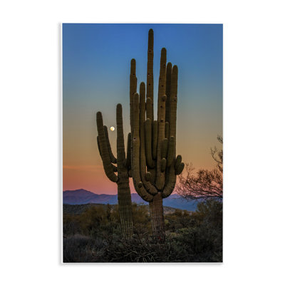 Art mural de silhouettes de cactus avec lune par Rick Berk