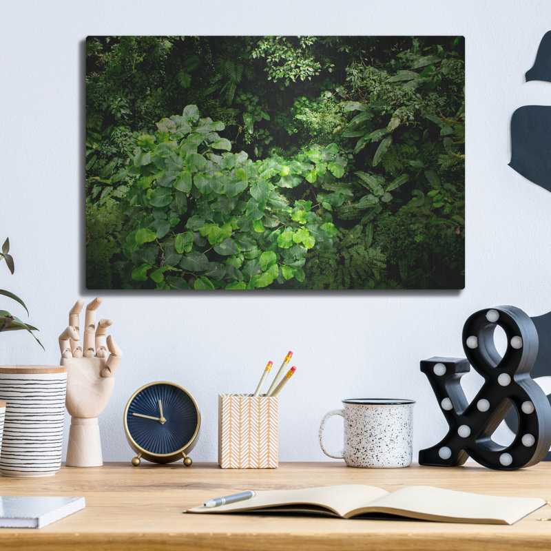 «Rainforest Canopy» par Nicklas Gustafsson, H 12 po x l 16 po