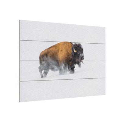 «Bison In The Snow» par Debbie Hunt