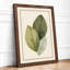 Three Studies in Green Botanical - Framed Print-1288994157-1288994153