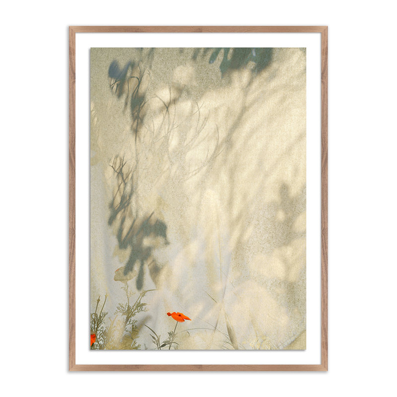 Entertain The Thought, No.05 Print by Fountain Grass Studios, Dark Brown, 32" H x 24" W x 1.5" D