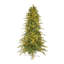 Douglas Lighted Artificial Fir Christmas Tree-1798263689