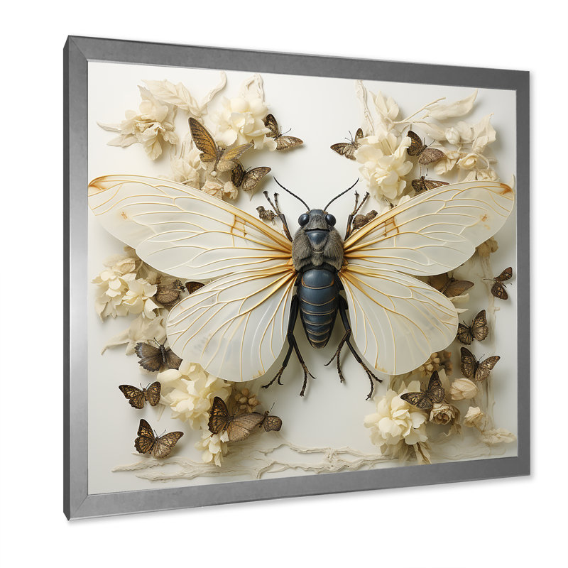 Captivating Moths Insect II - insectes et insectes, art mural, Cadre photo argenté, H 30 po x l 30 po x P 1,5 po