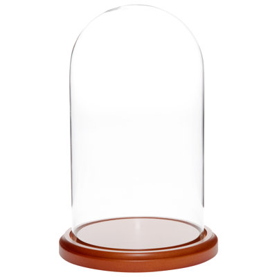 Vucciria Glass Display Dome Cloche