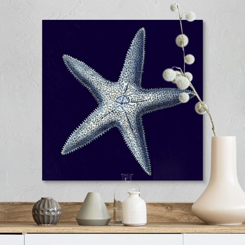 « Indigo shells IV » par vision studio-impression, Toile tendue, H 12 po x l 12 po x 1,25 po