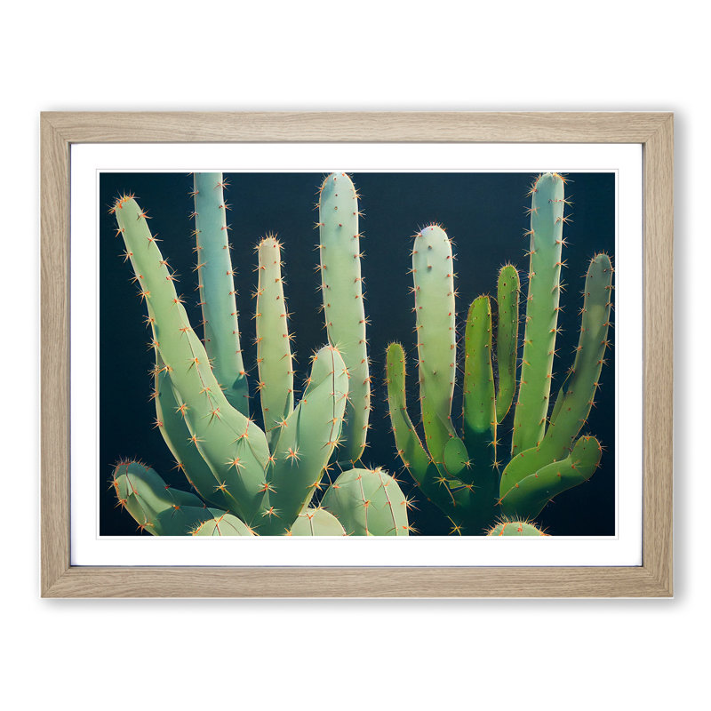 Enthralling Cactus - Single Picture Frame Painting, 46cm H x 64cm W x 2cm D, Oak 