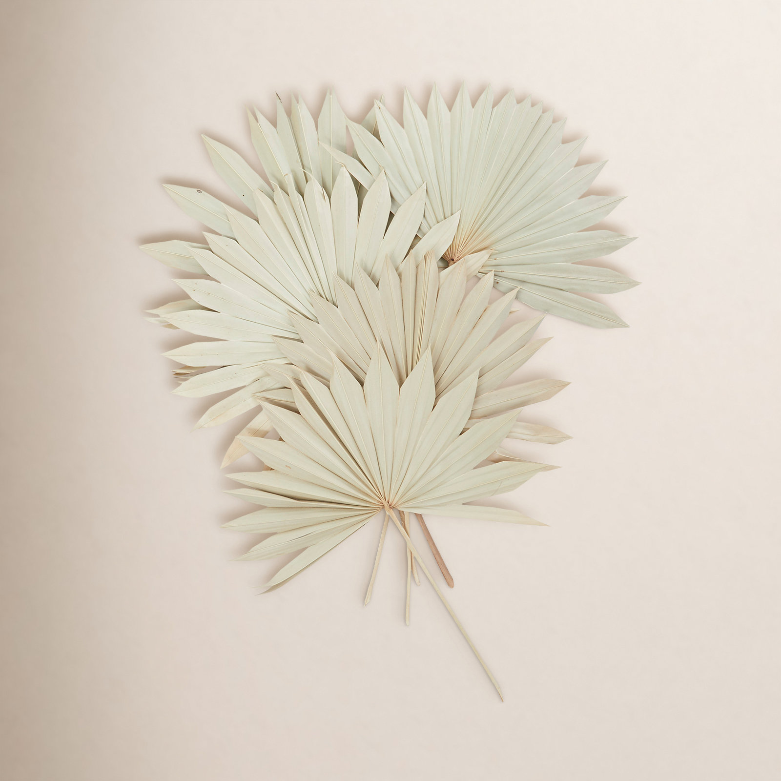 Dried Plant Vase Filler