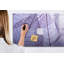 Magnetic Glass Dry Erase Board