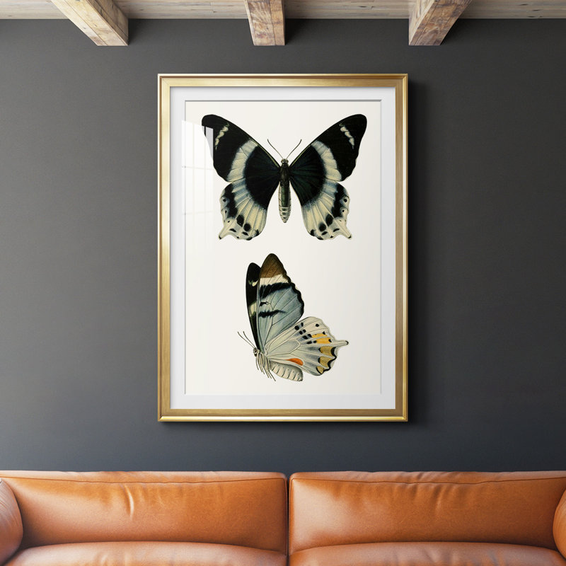 «Antique Blue Butterflies I», reproduction encadrée de qualité supérieure - prête à être accrochée, H 24,5 po x l 18,5 po, Or