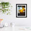 Chaises I - photographie avec cadre photo-268245163-268245166