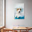 Ketti terrier au bain bleu-108539808