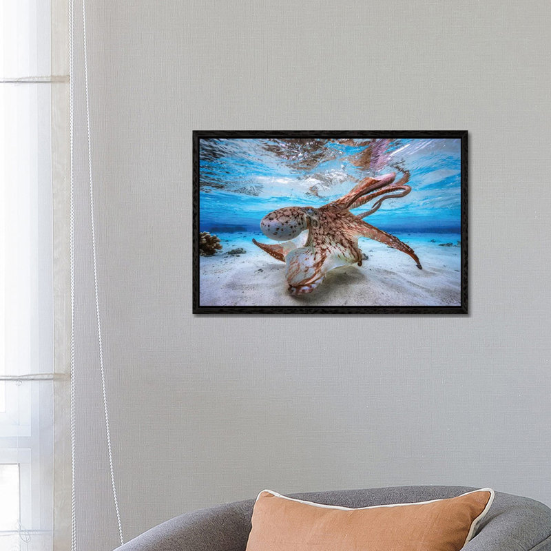 Dancing Octopus by Barathieu Gabriel - Print on Canvas, 66.04 cm H x 45.72 cm W, Black Framed