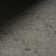 Nate Berkus Ivy Soft Floral Washable Area Rug