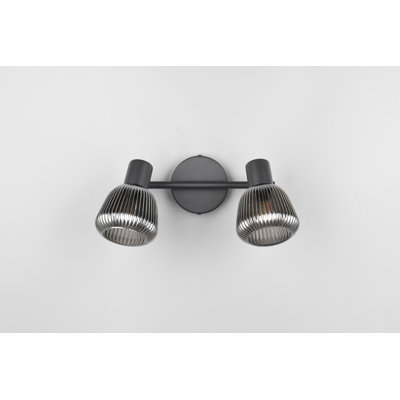 Dassy Spotlight