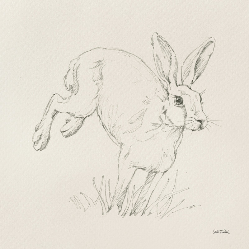 «Graceful Rabbit I» sur toile par Leslie Trimbach, H 12 po x l 12 po