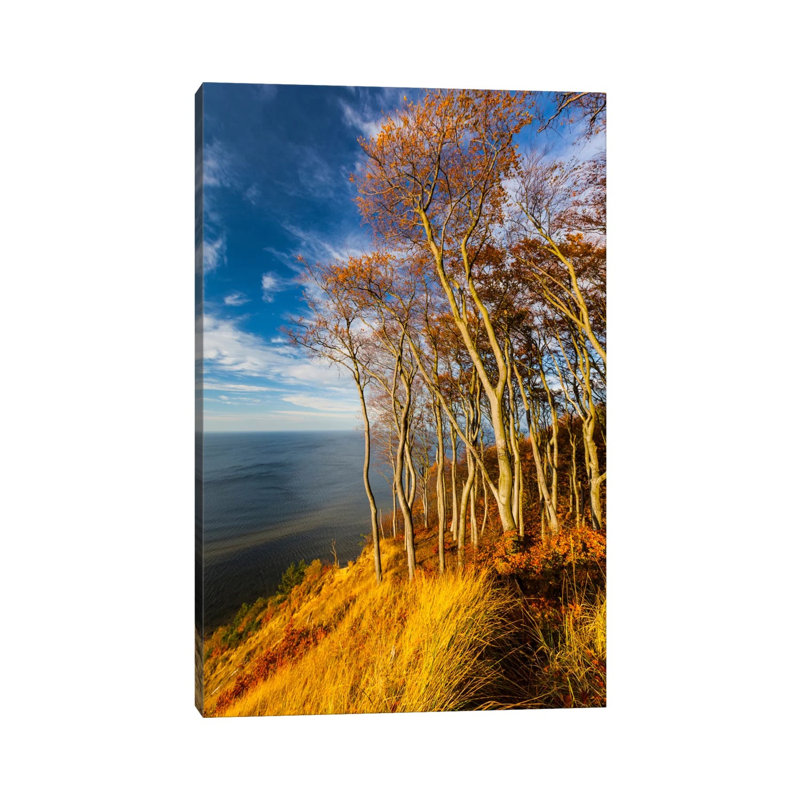 Poland, Baltic Sea, Wolin National Park 1 Piece Wrapped Canvas Wall Art, 20.32 cm H x 30.48 cm W