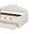 Full Size Upholstered Daybed Frame With Shall Shaped Backrest & 2 Drawers, Velvet Fabric-480562103