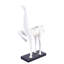 Horse Hoof Up Statue with Base-49397539-49455492
