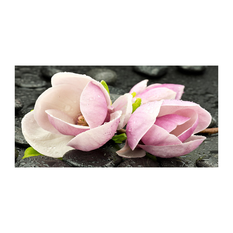 Magnolia Stone Zen - Wrapped Canvas Print