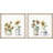 Always In Bloom by Parvez Taj - 2 Piece Single Picture Frame Painting Set-276176050