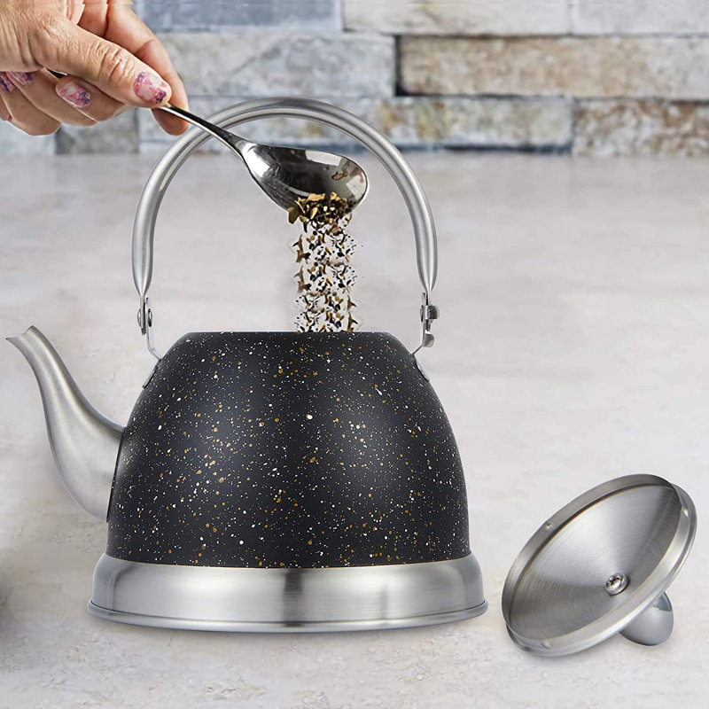 Bouilloire pour cuisinière avec poignée pliante