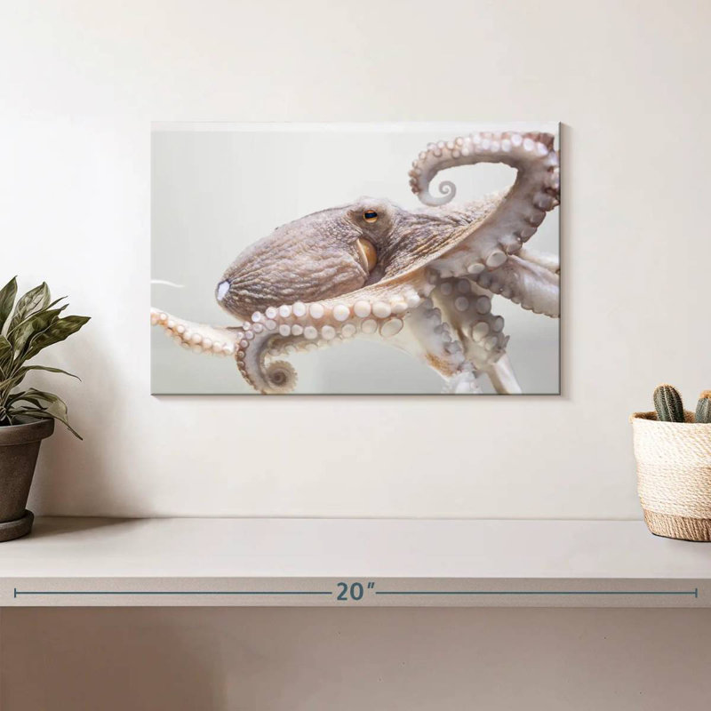Brampt Aquarium Octopus, 8" H x 12" W