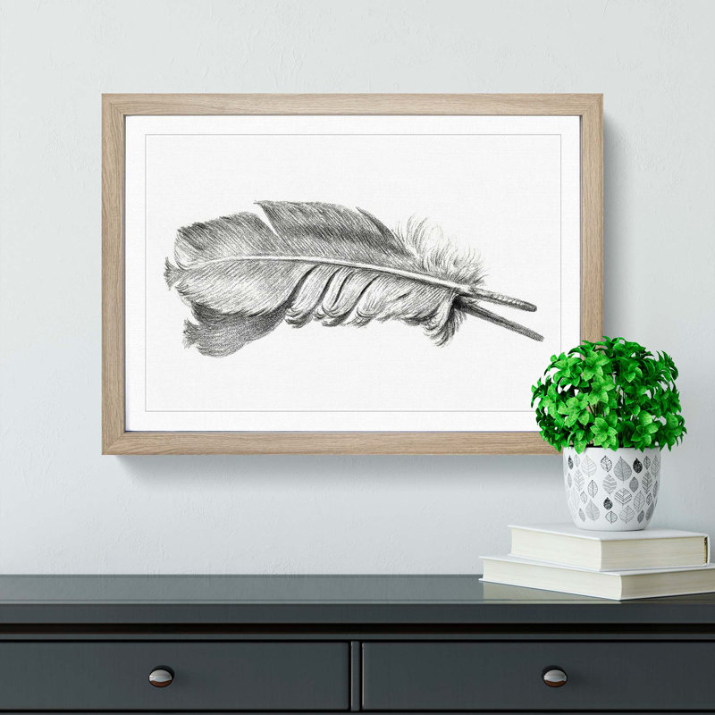 Feather by Jean Bernard - Picture Frame Drawing Print, 36cm H x 48cm W x 2cm D, Oak Framed