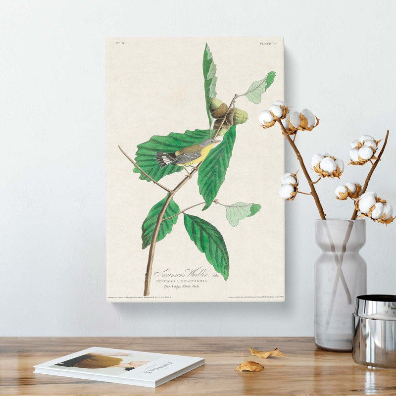 Warbler Bird by John Audubon - Wrapped Canvas, 76cm H x 50cm W x 3cm D