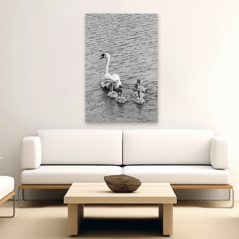 Suivez le chef - cygne bébé noir et blanc sur fond blanc, H 60 po x l 40 po