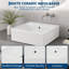 Blue Elephant Chrome Ceramic Sink-1119873610