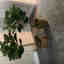 Customer photo 2 of 2